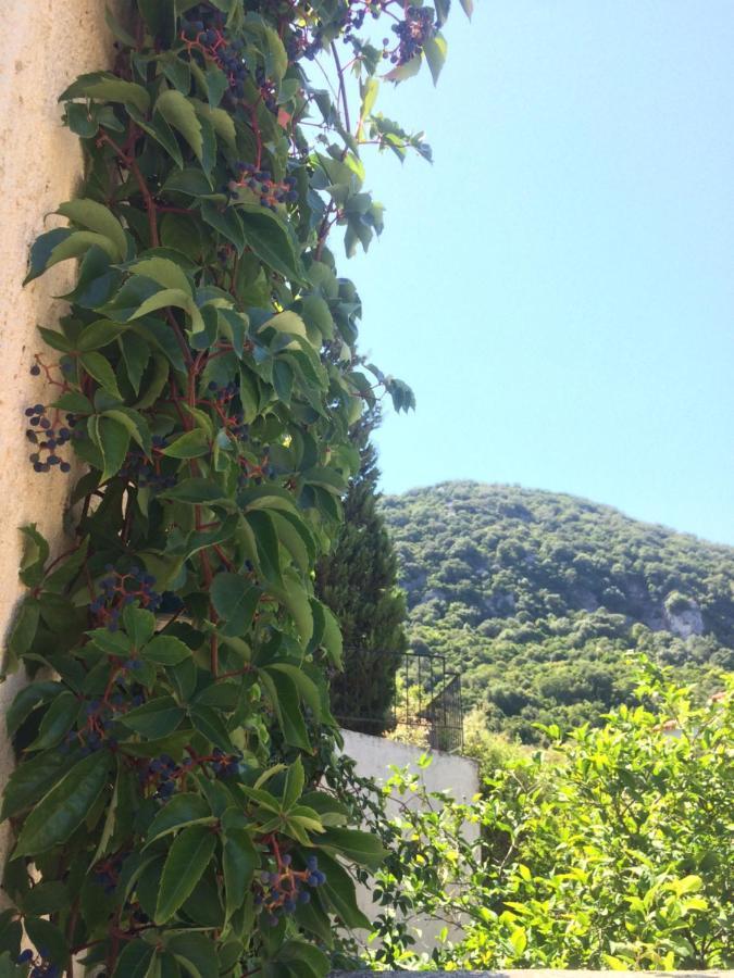 Giannatos' Studios - Makis Poros  Exteriör bild